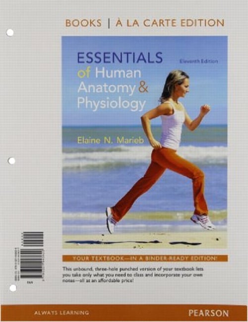 Essentials of human anatomy and physiology marieb 10th edition pdf