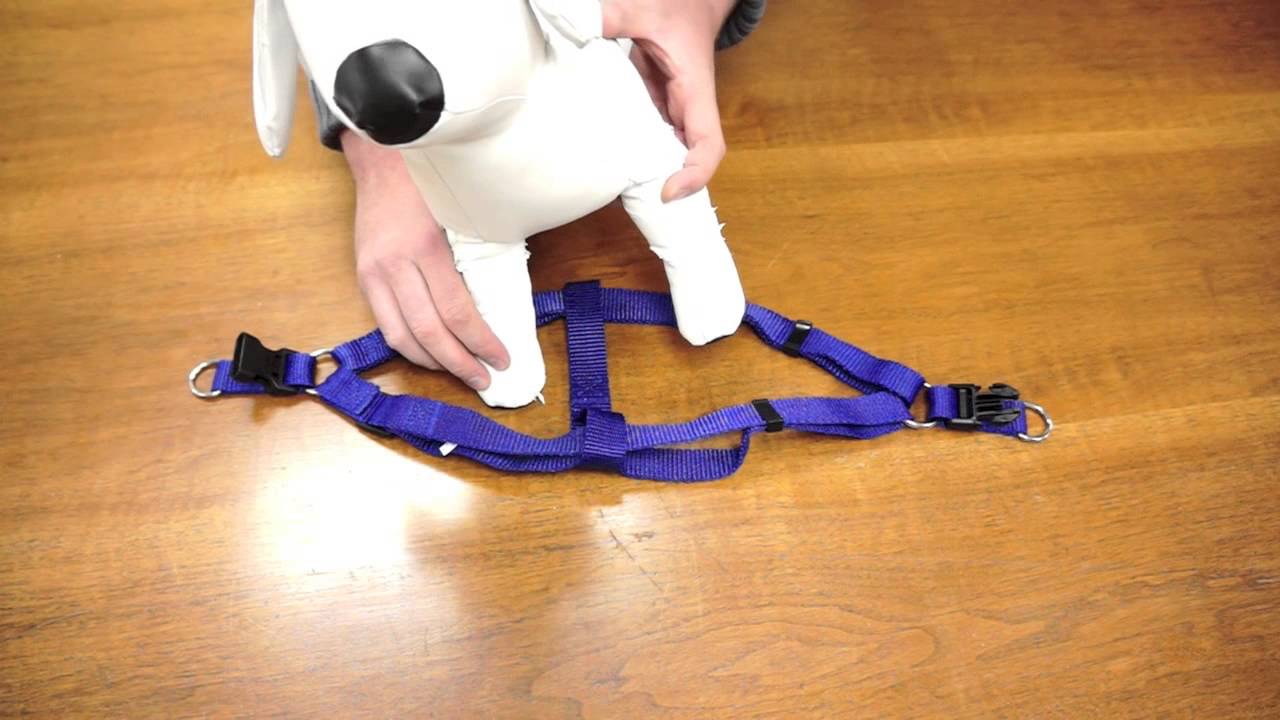 Kmart dog harness instructions