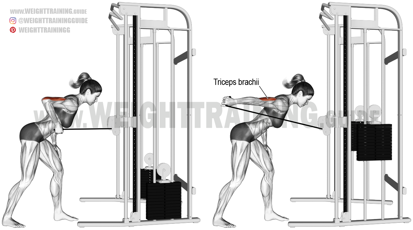 cable push down withd v bar exercise instructions
