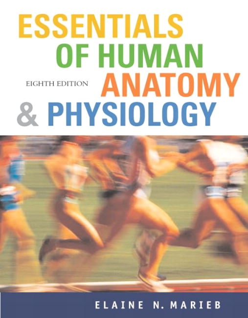 Essentials of human anatomy and physiology marieb 10th edition pdf
