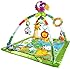 Fisher price rainforest gym disassemble instructions