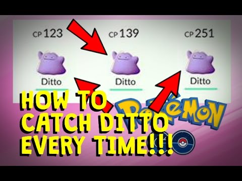 Pokemon go how to catch a ditto